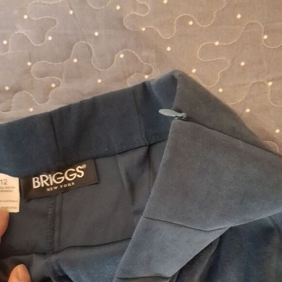 Briggs Blue Pants size 12 - Picture 4 of 6